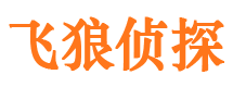 萝北市婚外情调查